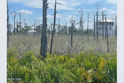 206 Bent Tree Road, Port Saint Joe, FL 32456 - Photo 4