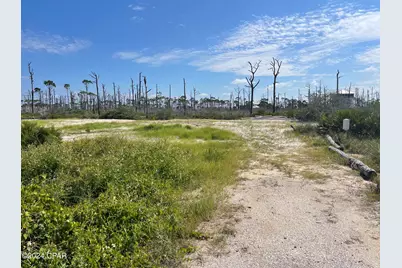 206 Bent Tree Road, Port Saint Joe, FL 32456 - Photo 1