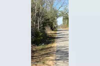 00 New Hope Road, Marianna, FL 32448 - Photo 2