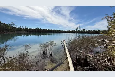 000 New Hope Road, Marianna, FL 32448 - Photo 2