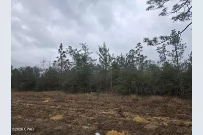 0000 NW Cr 274, Altha, FL 32421 - Photo 1