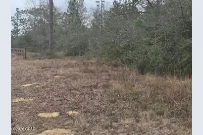 0000 NW Cr 274, Altha, FL 32421 - Photo 6