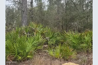 0000 NW Cr 274, Altha, FL 32421 - Photo 2