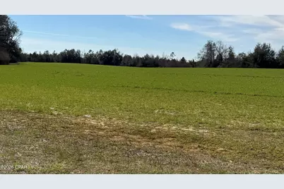 3790 Kynesville Road, Marianna, FL 32448 - Photo 2