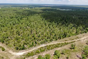 2447 Greenhead Rd, Chipley, FL 32428 - Photo 36