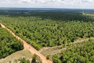 2447 Greenhead Rd, Chipley, FL 32428 - Photo 38