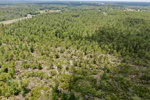 2447 Greenhead Rd, Chipley, FL 32428 - Photo 34