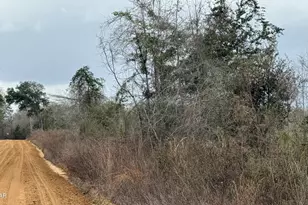 0000 Christmas Rd, Campbellton, FL 32426 - Photo 1