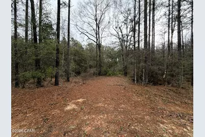 00 Red Oak Lane, Bonifay, FL 32425 - Photo 6