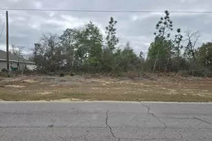 X Elkcam Blvd, Chipley, FL 32428 - Photo 1