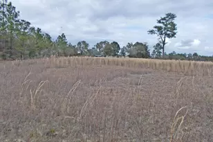 1025 Washington Blvd, Chipley, FL 32428 - Photo 16