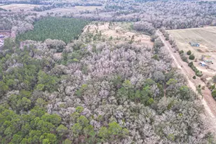 0000 Stanley Rd, Westville, FL 32464 - Photo 1