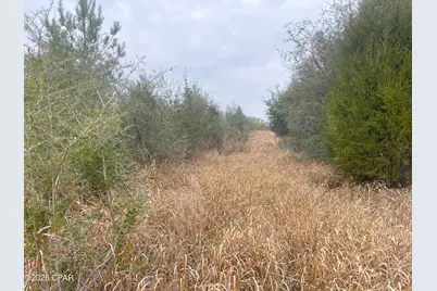 0000 Stanley Road, Westville, FL 32464 - Photo 10