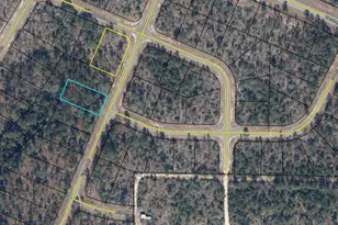 Lot 31 Pintado Ct, Chipley, FL 32428 - Photo 1