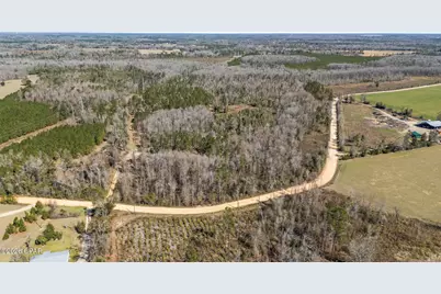 0 Swaills Road, Alford, FL 32420 - Photo 4