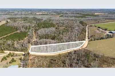 0 Swaills Road, Alford, FL 32420 - Photo 2