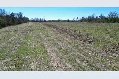 Tbd SW Cr 275 Abe Springs, Blountstown, FL 32424 - Photo 10