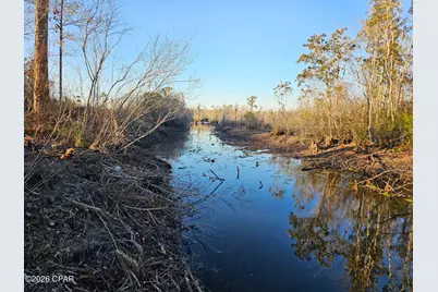 0 Morganville Road, Youngstown, FL 32466 - Photo 2