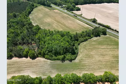 0000 Peanut Road, Graceville, FL 32440 - Photo 8