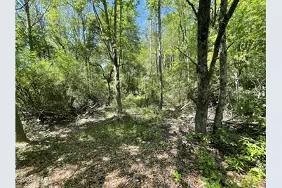 0000 Peanut Road, Graceville, FL 32440 - Photo 18