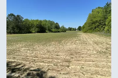 0000 Peanut Road, Graceville, FL 32440 - Photo 12