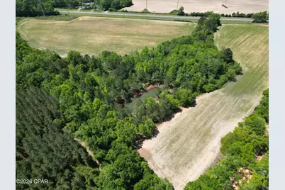 0000 Peanut Road, Graceville, FL 32440 - Photo 6