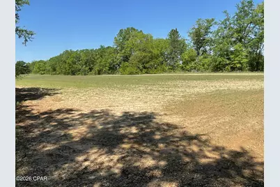 0010 Peanut Road, Graceville, FL 32440 - Photo 10