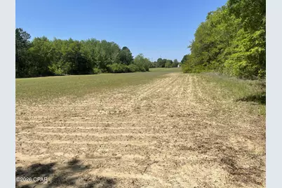 0010 Peanut Road, Graceville, FL 32440 - Photo 1