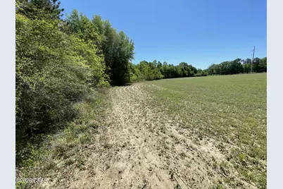 0010 Peanut Road, Graceville, FL 32440 - Photo 6