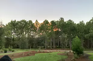 1532 Salamander Trail, Panama City Beach, FL 32413 - Photo 24