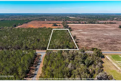 17198 SW Florida  47, Fort White, FL 32038 - Photo 2