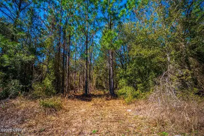 17198 SW Florida  47, Fort White, FL 32038 - Photo 18