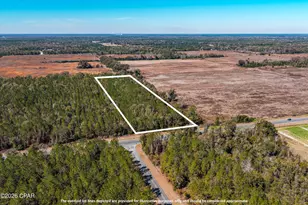 17198 SW Florida 47, Fort White, FL 32038 - Photo 1