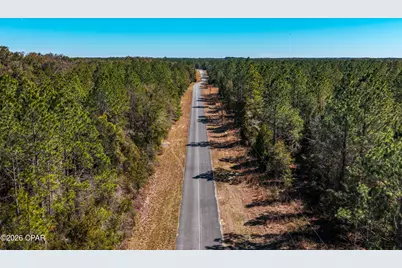 17198 SW Florida  47, Fort White, FL 32038 - Photo 4