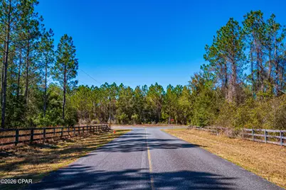 17198 SW Florida  47, Fort White, FL 32038 - Photo 14