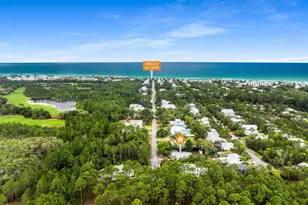 543 Seacrest Dr, Inlet Beach, FL 32461 - Photo 72