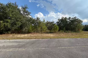 Lot 17 Jupiter Circle, Chipley, FL 32428 - Photo 1