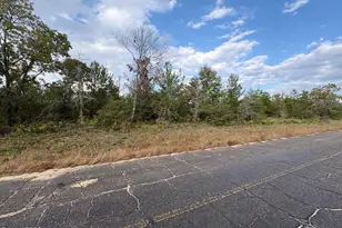 Lot 55 Dandelion Dr, Chipley, FL 32428 - Photo 1