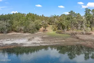 3723 Hicks Lake Ln, Vernon, FL 32462 - Photo 44