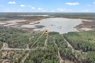 3723 Hicks Lake Ln, Vernon, FL 32462 - Photo 54