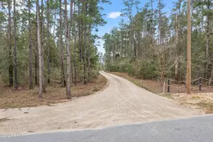 3723 Hicks Lake Ln, Vernon, FL 32462 - Photo 32