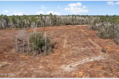 Xxx Tiller Road #North Lot, Chipley, FL 32428 - Photo 14