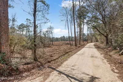 Xxx Tiller Road #North Lot, Chipley, FL 32428 - Photo 8