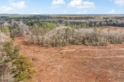 Xxx Tiller Road #North Lot, Chipley, FL 32428 - Photo 16