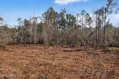 Xxx Tiller Road #North Lot, Chipley, FL 32428 - Photo 6