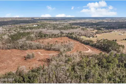 Xxx Tiller Road #South Lot, Chipley, FL 32428 - Photo 6