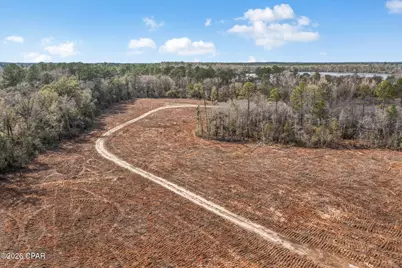 Xxx Tiller Road #South Lot, Chipley, FL 32428 - Photo 16