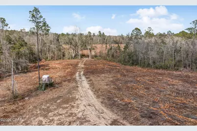 Xxx Tiller Road #South Lot, Chipley, FL 32428 - Photo 18