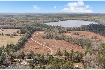 Xxx Tiller Road #South Lot, Chipley, FL 32428 - Photo 12