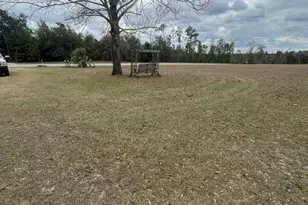 14304 SW County Road 275, Blountstown, FL 32424 - Photo 8